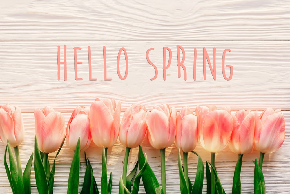 Your Spring Priority: Plan For Summer Smile Care | Springfield, OH